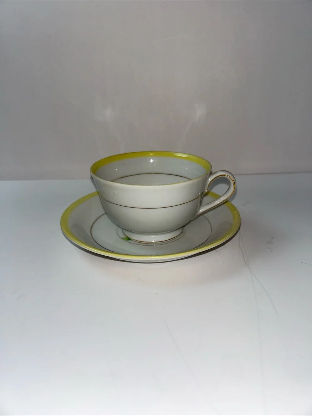 Hand Painted Floral Print Teacup and Saucer Marked Japan Cottage core Style
